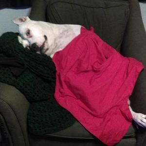 Meet your Posher, Paul